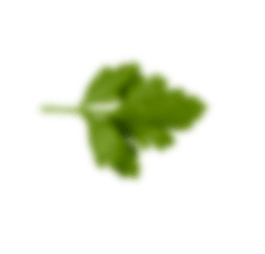 بک گراند برگ گوشت آوران