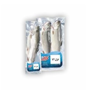 ماهی قزل آلا کالی