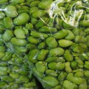 باقالی فله 5 کیلویی کوئین